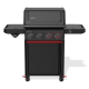 Weber SPIRIT